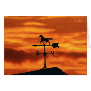 Cartão Meteorologia Vane no Sunset