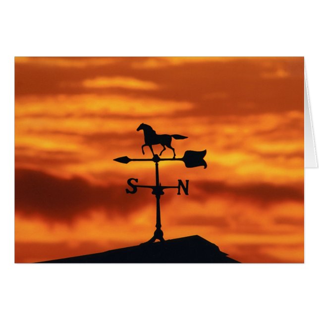 Cartão Meteorologia Vane no Sunset (Frente Horizontal)