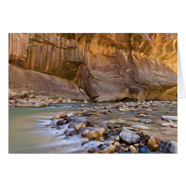 Cartão Metrô em Zion Utah (Frente Horizontal)