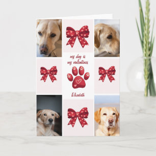Cartão Meu Cachorro é Meu Arco de Valentines 4 Fotos