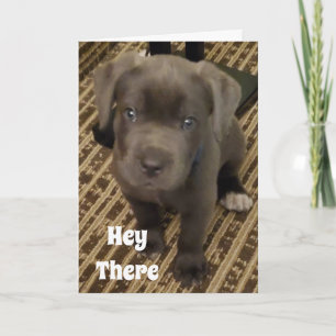 CARTÃO MEU DESEJO É UM BEIJO DE VOCÊ NO SEU *ANIVERSÁRIO*