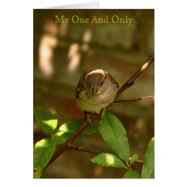 Cartão Meu E Apenas (Frente)