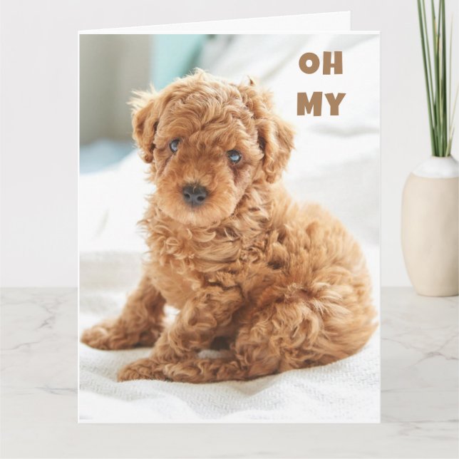 CARTÃO MEU É SEU ANIVERSÁRIO TÃO FELIZ POR VOCÊ! (Frente)