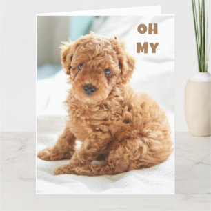 CARTÃO MEU É SEU ANIVERSÁRIO TÃO FELIZ POR VOCÊ!