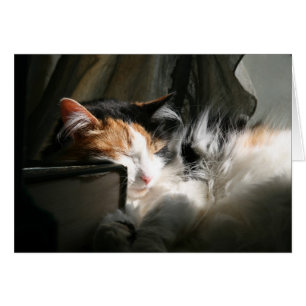 Cartão Meu feixe de sol