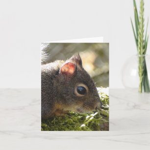 Cartão Meu Felpudo Amigo