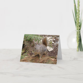 Cartão Meu felpudo do amigo