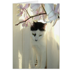 Cartão Meu Gatinho Bonito