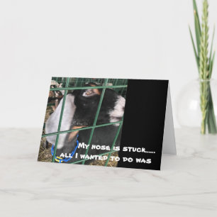 CARTÃO MEU NARIZ ESTÁ PRESO "TUDO O QUE EU QUERO É DIZE