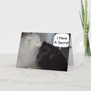 CARTÃO MEU SEGREDO É QUE EU AMO VOCÊ, TODOS SABEM.