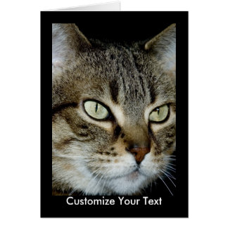 Cartão Meu Tabby Card