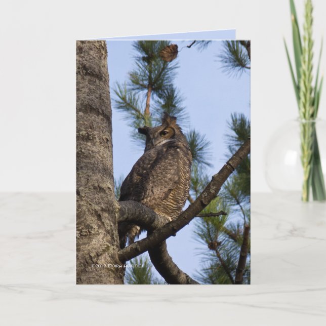 Cartão Meu Vizinho da Floresta (Frente)