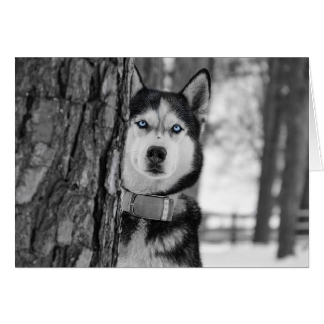 Cartão Meus Olhos Azuis (Frente horizontal)