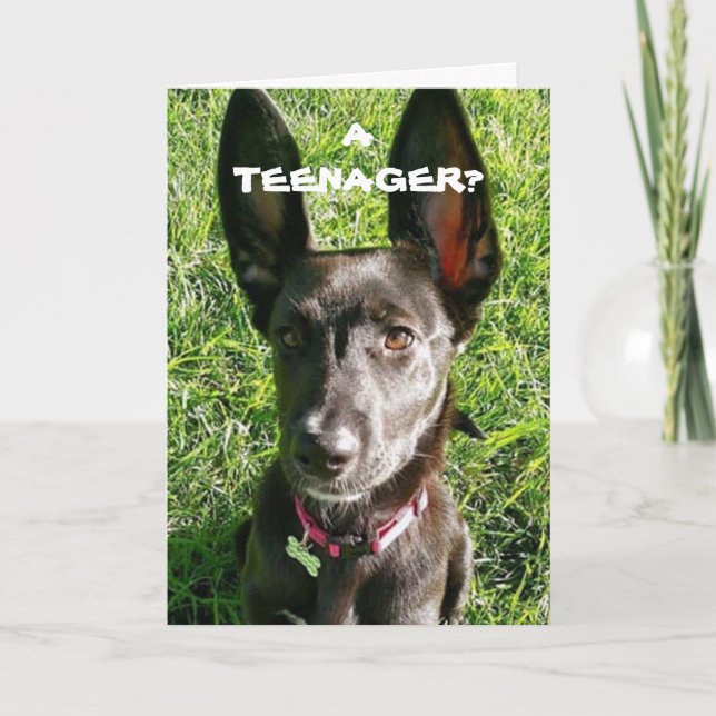 CARTÃO MEUS "OUVIDOS" CERTAMENTE VÊM EM MÃO "13 ANIVERSÁR (Frente)