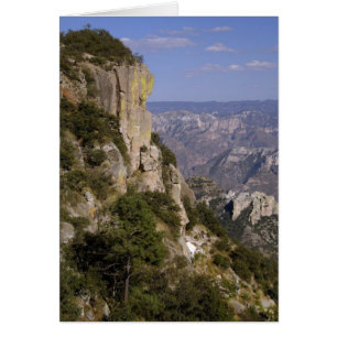 Cartão México, Estado de Chihuahua, Copper Canyon. ESTE 2