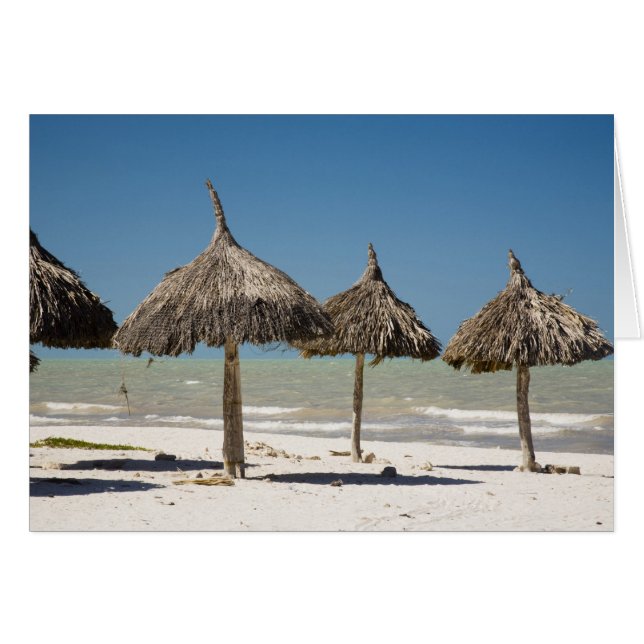 Cartão México, Península de Yucatán, Progreso. Palha (Frente Horizontal)