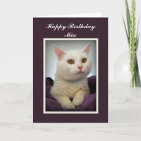 Mia Happy Birthday White Cat Card