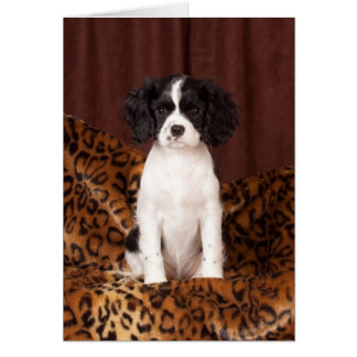 Cartão Micah Rara Cavalier King Charles Spaniel