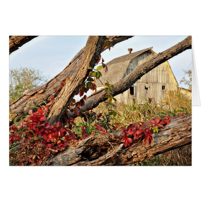 Cartão Michigan Barn and Fall Color (Frente Horizontal)
