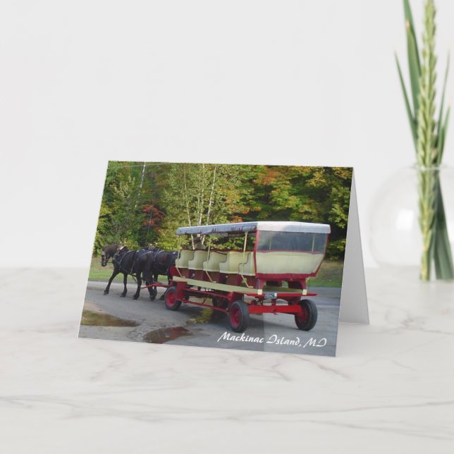 Cartão michigan_trip 024, ilha de Mackinac, MI (Frente)