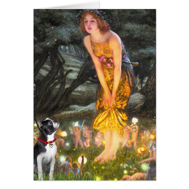 Cartão MidEve - Boston Terrier #2 (Frente)