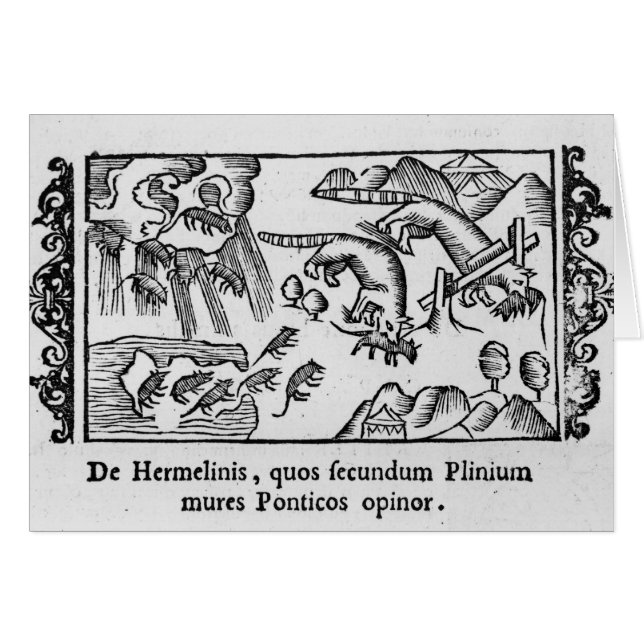 Cartão Migração dos lemmings (Frente Horizontal)