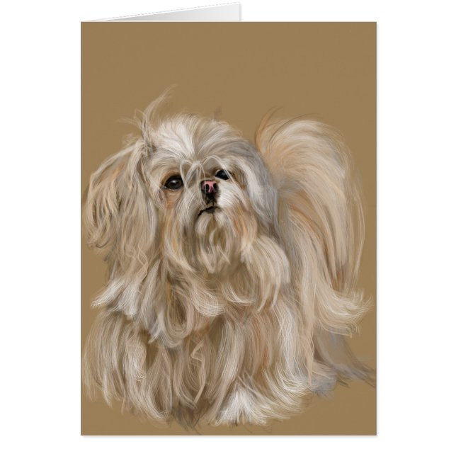 Cartão Miki (Frente)