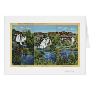 Cartão Mil Primaveras, ID - Juniper, Wing e Minnie