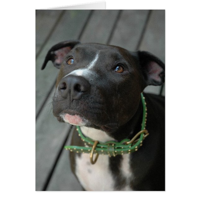 Cartão Mildred (Frente)