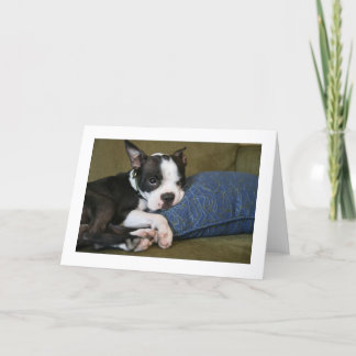 Cartão Miley é irritado