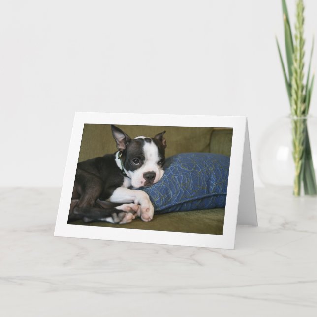 Cartão Miley é irritado (Frente)