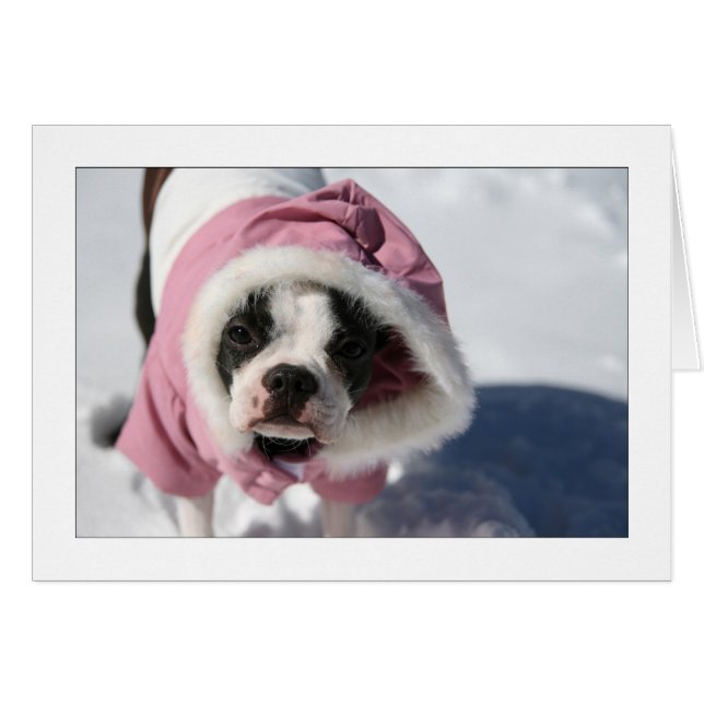 Cartão Miley na neve (Frente Horizontal)