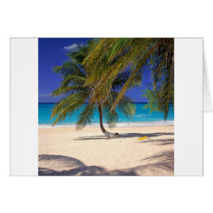 Cartão Milha tropical Grande Caimão da ilha sete