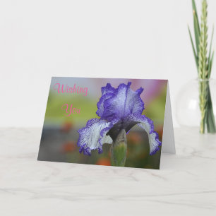 Cartão Milhas De Sorriso De Aniversário