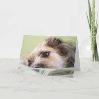 Cartão Milhas que Pondering