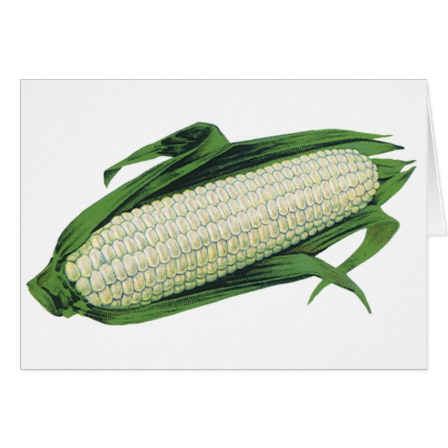 Cartão Milho branco de Comidas de vegetais venenosos no f (Frente Horizontal)