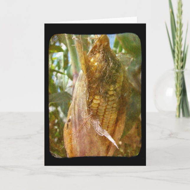 Cartão Milho No Cob (Frente)