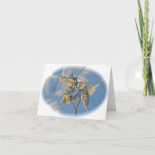 Cartão Milkweed Pods Against Snow Note Card