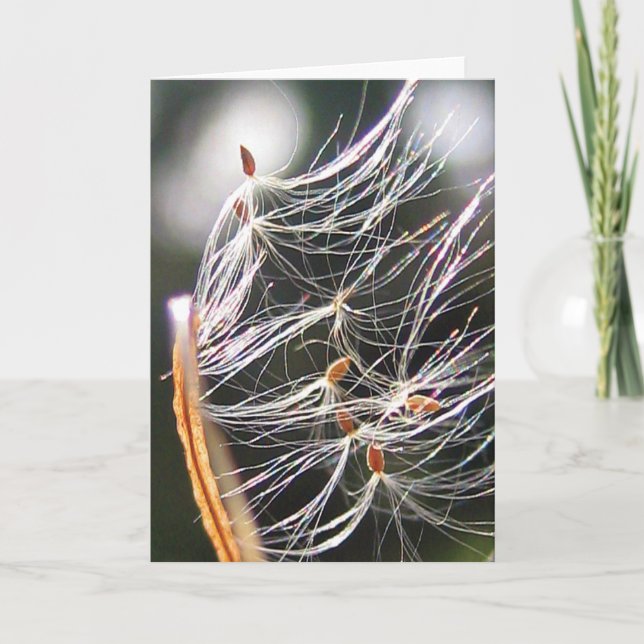 Cartão Milkweed Poof Carnival Ride Playful Nature (Frente)