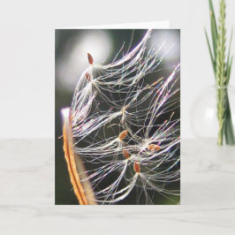 Cartão Milkweed Poof Carnival Ride Playful Nature