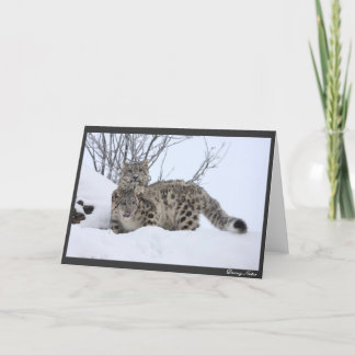 Cartão Mim e meu amigo