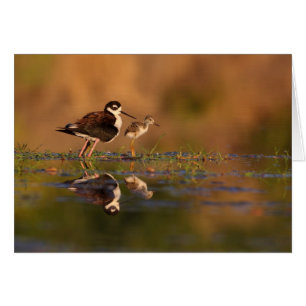 Cartão Mim e meu pintinho