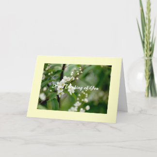 Cartão Mim ` m que pensa de você