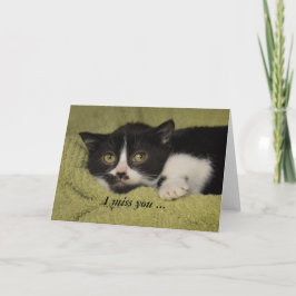 Cartão Mim senhorita Você, gatinho tímido do smoking