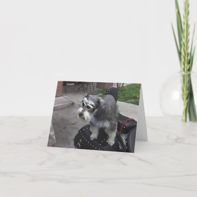 Cartão Minature Schnauzer BIKER (Frente)