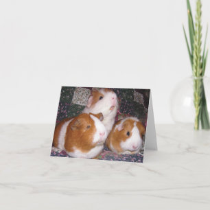 Cartão Minerva and Friends Notecard