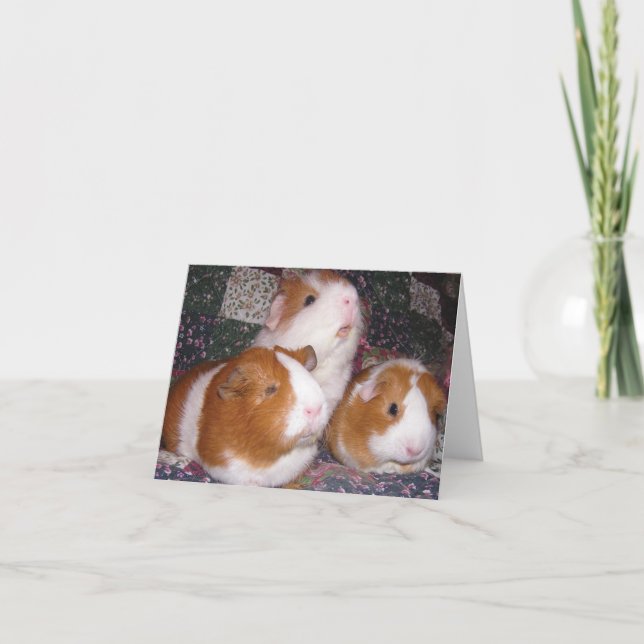 Cartão Minerva e amigos Notecard (Frente)