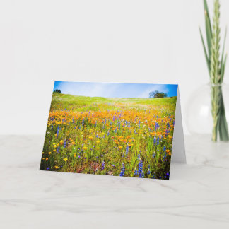 Cartão Minha Califórnia 1