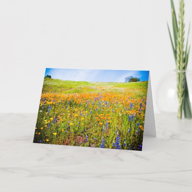 Cartão Minha Califórnia 1 (Frente)