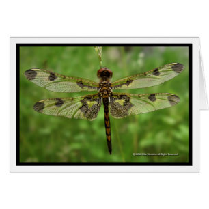 Cartão "Minha libélula das asas bonito" -